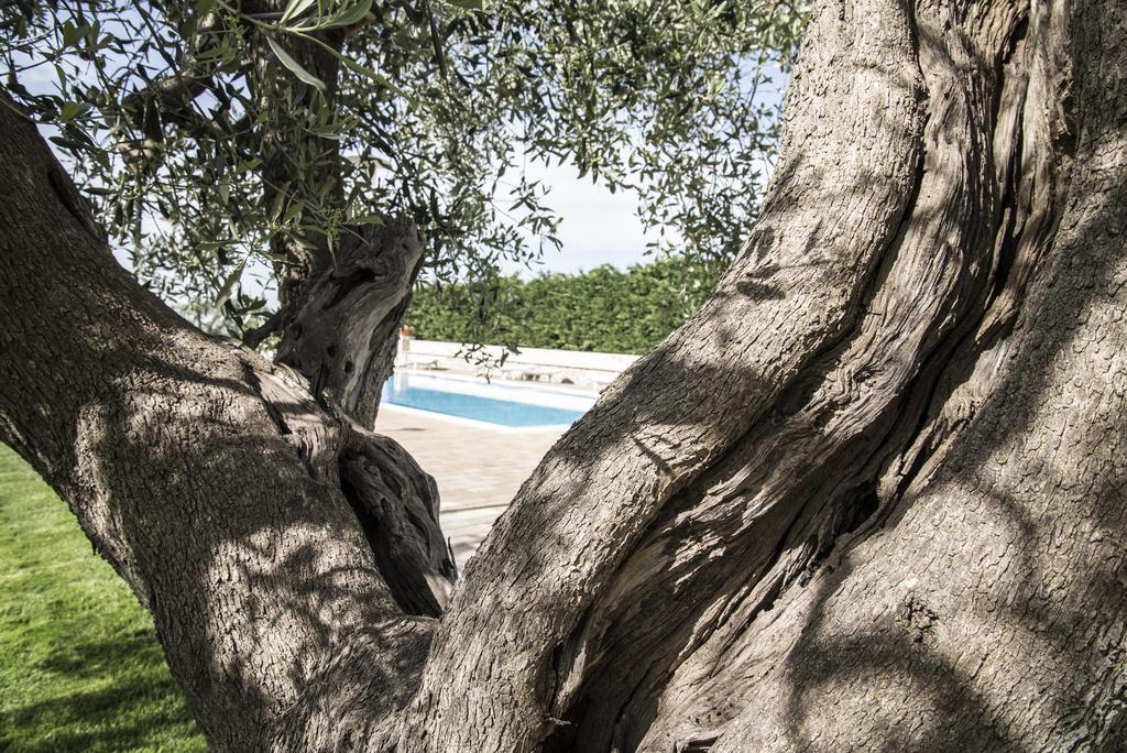 Masseria Gravelle Тури Экстерьер фото